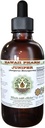 Juniper Alcohol- Free Liquid Extract, Organic Juniper (Juniperus Monosperma) Sušený Berry Glycerite Hawaii Pharm Natural Herbal Dodatek 4 oz