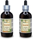 Spilanthes (Acmella oleracea) tinktura, organické sušené listy, květiny a stonky tekutý extrakt (značka: HerbalTerra, Prooudly Made in USA) 2x4 fl.oz (2x120 ml)