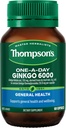 Thompsonův One- A- Day Ginkgo 6000mg 60 tobolek