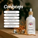 Rainbo - Cordyceps Houba Tinktura - Dual Extract Houba Dodatek - Imunitní podpora, Energie, Liquid Cordyceps Dodatek, Vegan, Non GMO, 3.4 fl oz