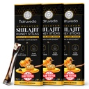 Himalayan Shilajit Honey Sticks for Men & Women - 75% + Fulvic Acid & Trace Minerals - Raw Honey, Saffron & Himalayan Shilajit Resin - Stamina, Performance & Energy Support - (balíček 30)