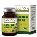 Banyan Botanicals Kanchanar Guggulu Tablety - Organic Lymph dodatek s Guggulu Resin - Podporuje zdravé odstranění přírodních toxinů * - 90 Tablety - Non- GMO Udržitelně Sourced Vegan