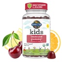 Zahrada života děti Imunitní podpora Gummies s vitaminem C, D jako D3 & zinek pro 3-in-1 denní dětské imunity - organické, non-GMO, gluten- Free, Vegetarian, Cukr zdarma, Cherry Flavor, 30 denní zásobování