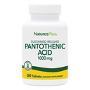 NaturesPlus Pantotenová kyselina, trvalé uvolňování - 1000 mg, 60 tablet - high- potency vitamin B5 dodatek - Vegetariánské, gluten zdarma - 60 Služeb