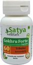Gokhru Forte Kapsle 500 mg. 60 Veg. Kapsle 124; Gokharu (Tribulus Terrestris) Extract Kapsle pro muže a ženy 124; Ayurvedic Herbal Supplement / Remedies 124; 10: 1 Forte (1 lahvička 60 Kapsle)