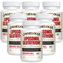 Lipozomální Glutathione 2000 mg s L- Serine, L- Glycin & Sulforaphane - Active L- Glutathione Unique Formulation to Enhance Absorption - Master Antioxidant, Detoxification & Immunicative Factory 124; 360 Softgels