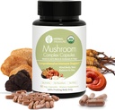 Bylinný poklad 4 v 1 Houbový komplex dodatek, Adaptogeny s lví hřívou, Reishi, Chaga a Cordyceps Houbová směs, Organic Houbový dodatek Extract 90 Caps