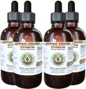 African Cherry Pygeum Alcohol- Free Liquid Extract, African Cherry Pygeum (Prunus Africana) Bark Glycerite Natural Herbal Supplement, Hawaii Pharm, USA 4x4 oz