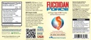 FUCOIDAN FORCE ® - 24 balení lahví