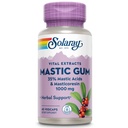 SOLARAY Mastic Gum Extract 500 mg 45 Počet