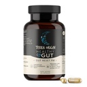 TERRA ORIGIN Zdravý Gut Reset PM PHARMAN124; 60 Veggie Kapsle PHARMAN124; Přírodní spánková pomoc dodatek pro spánek & Wake Cycles PHARMAN124; GABA, L-Triptofan, Melatonin, L-glutamin, Licorice Root, Slippery Elm Root