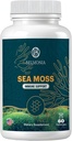 Sea Moss Gummies - Imunitní síla & Skin Health, Organic Irish Moss Gummy Bears, 60 Hrabě, Vegan, Superfood Žvýkací doplněk pro vytrvalost a zdraví