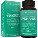 Viva Naturals Pycnogenol - 100mg French Maritime Pine Bark Extract - Podporuje Cirkulaci, Antioxidant- Like Activity, Spojky a imunitní zdraví a funkce - 60 Veggie Kapsle