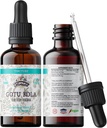 Gotu Kola Tincture, Organic Gotu Kola Extract, Gotu Kola Drops (Centella Asiatica) Sušený Herb