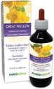 Naturalma Great Mullein nebo Common Mullein (Verbascum thapsus) Flower and Leaf Alcohol- Free Tincture - 6.76 fl oz Liquid Extract in Drops - Bylinný dodatek - Vegan