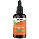Nyní Potraviny doplňky, Echinacea & Goldenseal Plus s kapátkem, Podpora imunitního systému *, 2-Ounce
