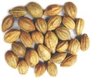 Naturals Terminalia Chebula Auth124; Kadukkai Auth124; Harad Auth124; Inknut Auth124; Haritaki Indian Origin Herbs (200g (7 oz))