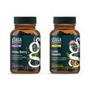 Gaia Herbs Vitex Berry (Chaste Tree) - Podporuje rovnováhu hormonů a plodnost pro ženy - 60 Vegan Caps & Játra Zdraví - Dodatek o játrech s mléčným bodlákem, Licorice Root pro játra a čistou podporu -