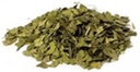 Nejlepší botaniky Ginkgo Leaf Cut 16 oz.