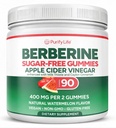 Sugar- Volný jablečný ocet gumy pro dospělé (90 Žvýkačky) - Nefiltrované, Detox ACV gumy s matkou pro Gut zdraví, energie, Digestion & Imunitní podpora - Žádné další kapsle, pilulky nebo kyselé reflux