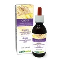Naturalma Ginger (Zingiber officinalis) Rhizome Alcohol- Free tinktura - 4 fl oz Liquid Extract in Drops - Bylinný dodatek - Vegan