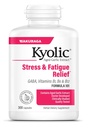 Kyolic Aged Česnek Extract Formule 101, Stres a Únava Relief, 300 Kapsle.