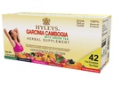 HYLEYS čaj Garcinia cambogia zelený čaj s tříděnými příchutí - 42 čajové sáčky (12 balení - 504 čajové sáčky celkem)