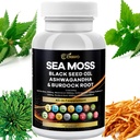 Sea Moss 3000mg Black Seed Oil 2000mg Ashwagandha 1000mg Bladderwrack 1000mg Turmeric 1000mg Burdock 1000mg Vitamin C & D3 Elderberry Manuka Dandelion Yellow Dock chlorofyll ACV