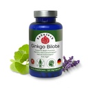 Ginkgo Biloba, Paměť, Focus & Brain Function Support, Antioxidant- Rich, Plant- based, GMP, Herbal Nootropní Vegetariánské kapsle, 120 Počet (balení po 1)