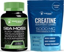 WELLNESS LABSRX Irish Sea Moss Kapsle - Creatine Gummies 5000mg
