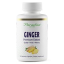 Paradise Byliny Premium Ginger Extract pro trávicí zdraví, Super potent, Ultra Pure, Vegan, Non- GMO, Gluten Free, 60 Vegetariánské kapsle