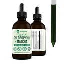 360 Nutriční Matcha Chlorofyl kapalné kapky s L- theanine, gluten Free & Vegan Vnitřní Deodorant dodatek, Podporuje Gut zdraví, Digestion, Energie, Radiant Skin, Rychlá absorpce, 60 Služeb