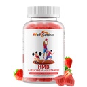 HMB a Leucine Amino Acid Gummies: HMB doplňky pro muže ženy s L-glutamin pro svalový růst rychlé cvičení zotavení, cukr zdarma Vegan Non- GMO Jahodové ochucené 30 denní dodávky
