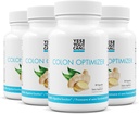 Ano, můžeš! Probiotika Kolon Optimizer Doplněk - Gut zdraví a žaludek Dodatek pro muže a ženy, Organic Probiotika se zázvorem a Peppermint pro stravovací zdraví, 30 Kapsle - 4 Pack