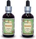 Rhoddiola (Rhoddiola Rosea) Glycerite, Organic Sured Roots Alcohol- Free Liquid Extract (Značka: HerbalTerra, Proudly Made in USA) 2x2 fl.oz (2x60 ml)