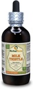 Mléko Thistle (Silybum Marianum) Tinktura, Organic Sured Seeds Liquid Extract (Značka: HerbalTerra, Proroudly Made in USA) 4 fl.oz (120 ml)