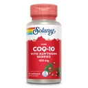 Solaray Pure CoQ10 100mg s Hawthorn Berry, Antioxidant Formule s Coenzyme Q10 a vitamin E pro podporu buněčné energie a srdečního zdraví, Laboratoř ověřená, 60 denní záruka, 30 Servings, 30 Kapsle