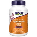 Nyní Potraviny Doplňky, Hyaluronová kyselina 100 mg, Dvojitá síla s L- Proline, Alpha Lipoic kyselina a extrakt z zrna, 120 Veg Kapsle