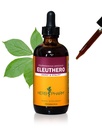 Herb Pharm Eleuthero (Sibiřský ženšen) Root Liquid Extract for Energy and Stamina, Cane Alkohol, 4 Ounce