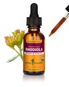 Herb Pharm Certified Organic Rhoddiola Root Extract for Energy, Endurance and Stamina, Alcohol- Free Glycerite, 1 Ounce