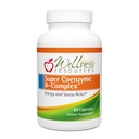 Wellness zdroje Super Coenzym B Komplex - 90 Kapsle - Vitamin B12, Vitamin B Komplex pro růst vlasů, Podpora nadledvin & Stress Relief - Methylovaný B12, Folát, Biotin, Riboflavin, Thiamin