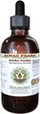Muira Puama Alcohol- Free Liquid Extract, Organic Muira Puama (Ptychoptetalum Olacoides) Glycerite Natural Herbal Supplement, Hawaii Pharm, USA 4 oz
