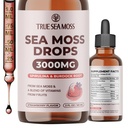 TrueSeaMoss Irish Sea Moss Drops - 5X Silnější než Sea Moss Gel - 92 + Esenciály Minerály - s Spirulina Powder, Burdock Root & Black Cumin - 2 Fl Oz (60ml) - Jahodová šťáva