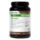 BODI Recover Plant- Based Protein Powder Blend- Post- Workout Chocolate Plant- Based Supplementary for Muscle Recovery with 20g Protein, BCAA, Granátová extrakt - Rychlé zotavení - 20 Serving Tub