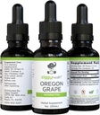 Premium Organic Oregon Grape Root Tincture - Alkoholicko-Free Extract, 1oz cr124; Bylinná podpora cr124; Ziggy Health
