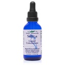 Eidon Liquid Silica Mineral Concentration - Silica Supplement pro vlasy, kůži a nehty, Kapky na podporu výroby kolagenu, pomáhá spravovat vápník, No Add Sugar - 2 oz