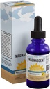 Nascent jód Organic Daily Health Appendix High potency 2% Koncentrované kapalné jódové kapky podporuje energii a metabolismus (1oz / 30ml)