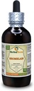 Bromelain (Ananas Comosus) tinktura, sušený prášek tekutý extrakt (značka: HerbalTerra, Proudly Made in USA) 4 fl.oz (120 ml)
