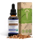 Echinacea Root USDA Organic Tincture PHAR124; Alkoholo- Free Extract, high- potency Bylinné kapky, imunitní systém Zdraví PHAR124; Vyrobeno ze 100% Certified Organic Echinacea Root (Echinacea Purpurea) 2 oz