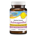 SEVERNÍ AMERICAN HERB & SPICE Ashwagandha 60 Caps